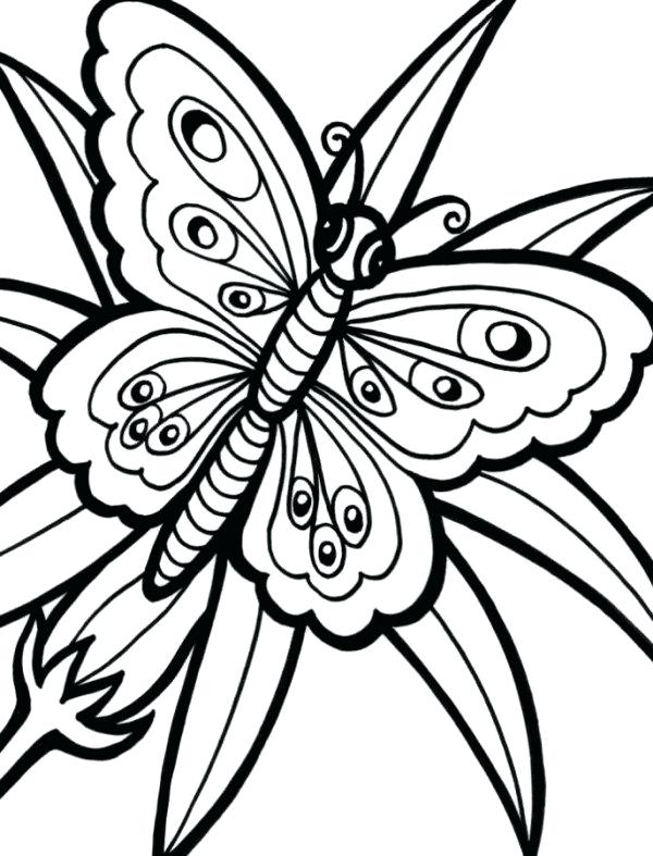 600x787 Cute Butterfly Coloring Pages Butterfly Flower Coloring Pages Cute