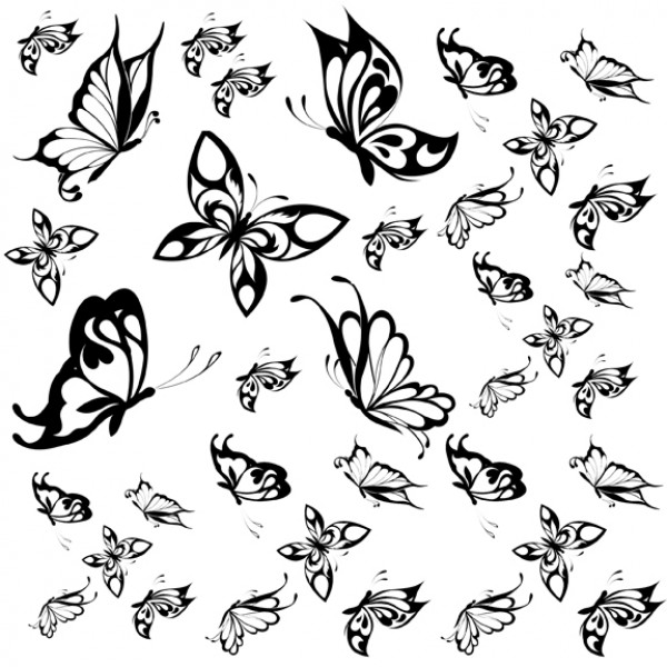 600x600 Drawn Butterfly Flight Drawing