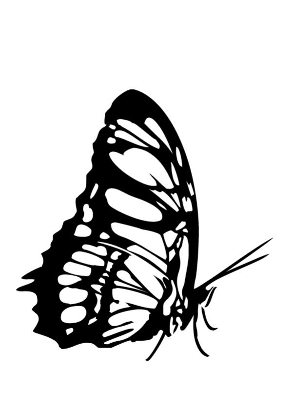601x850 Orange Butterfly Coloring Pages