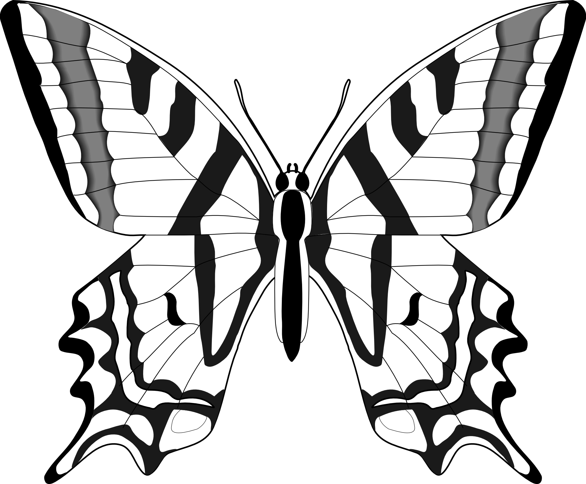 1969x1626 Simple Black And White Butterfly Clipart