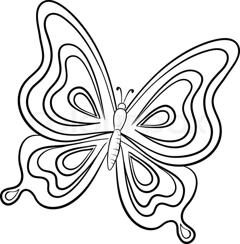 785x800 Vector, Butterfly, Hand Draw Monochrome Contours On A White