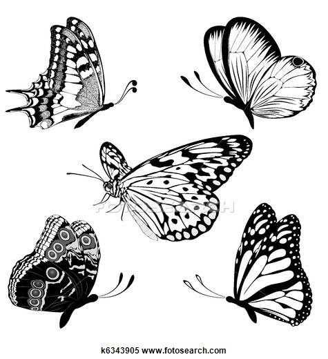 475x520 22 Best Butterfly Drawings Black And Grey Tattoo Images