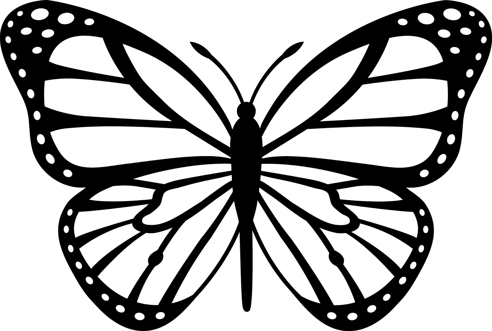 1600x1077 Black And White Butterfly Drawing News Butterfly Butterfly Cartoon