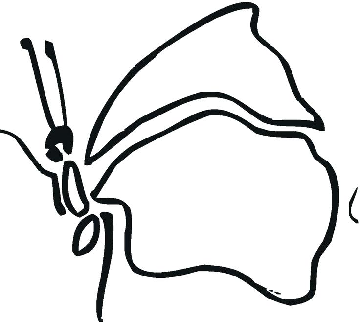 736x658 Cartoon Butterfly Coloring Pages Simple Butterfly Coloring Pages