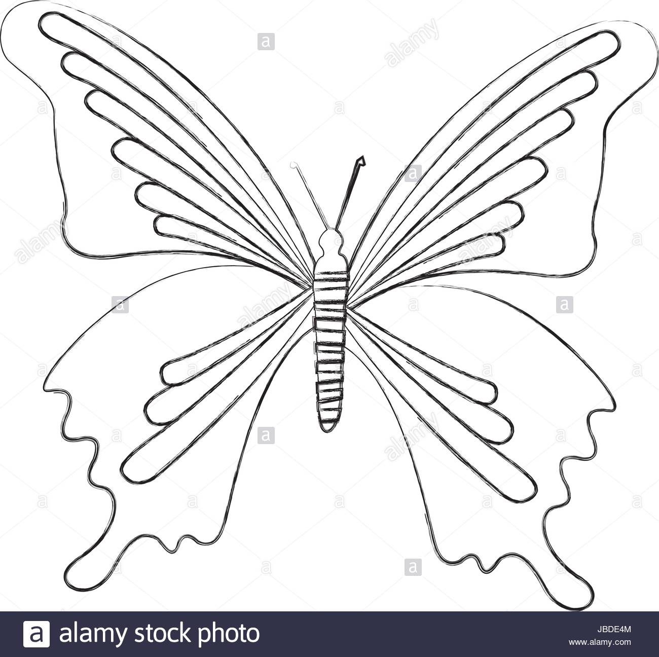 1300x1296 Sketch Draw Butterfly Cartoon Stock Vector Art Amp Illustration