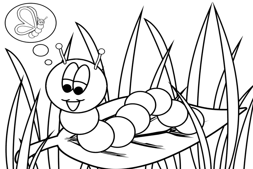 Starry-shine: Butterfly Cocoon Coloring Pages
