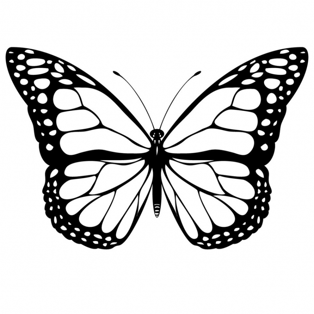 1024x1024 Cool Butterfly Drawings How I Draw A Swirly Symmetrical Butterfly