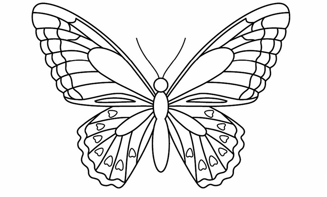 Butterfly Design Drawing at GetDrawings.com | Free for personal use