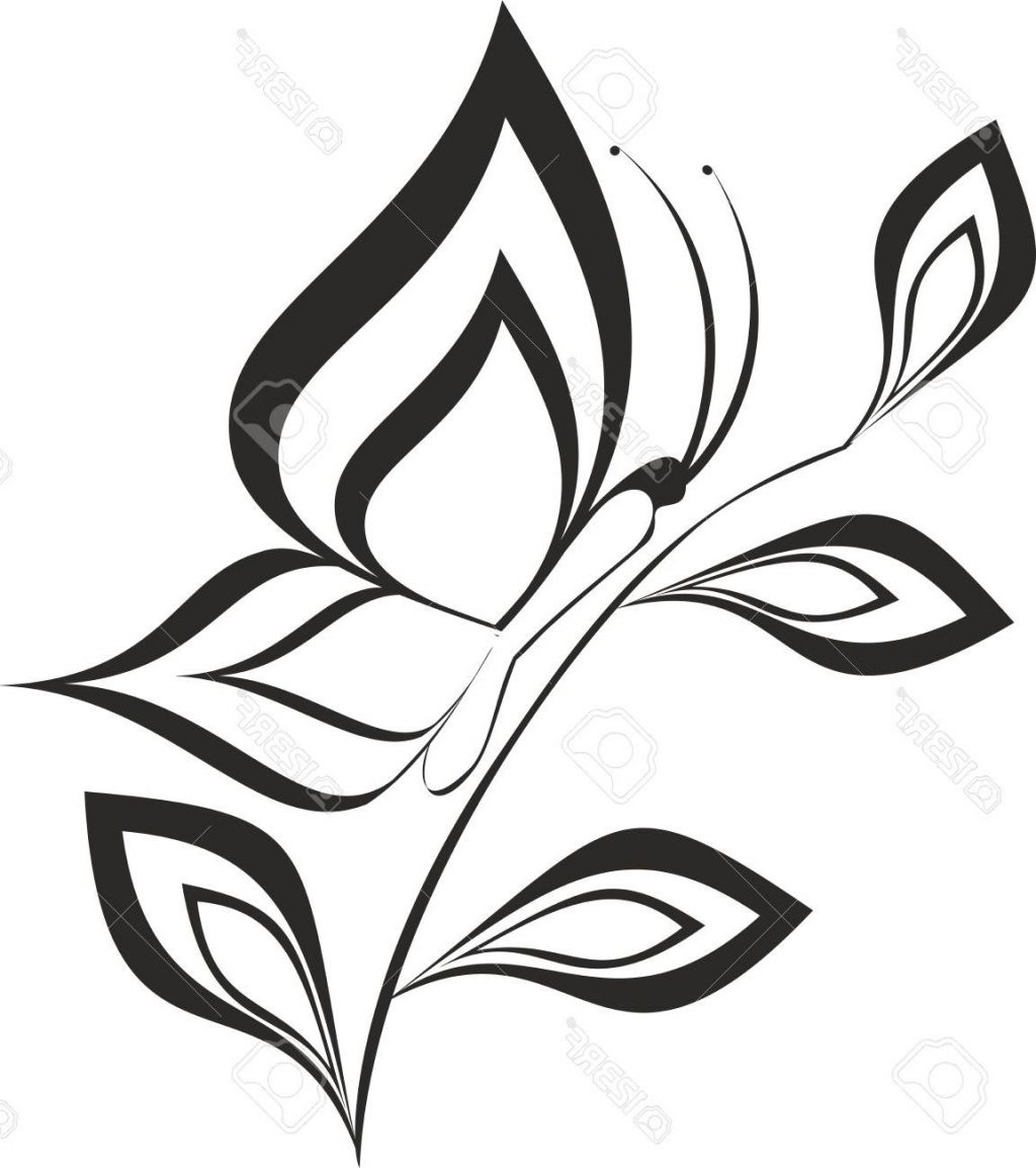 1024x1154 Best 15 Butterfly Design Photos