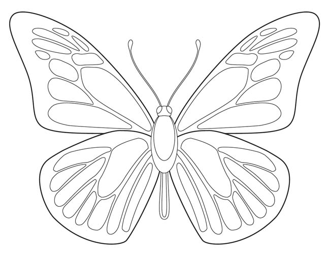 650x502 Free Butterfly Drawing Download