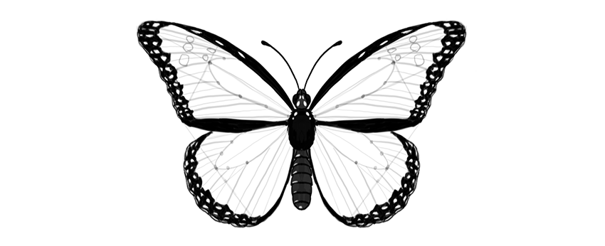 850x346 How To Draw A Butterfly Step By Step