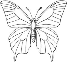 236x219 Butterfly With Flowers Coloring Pages Butterfly And Flower