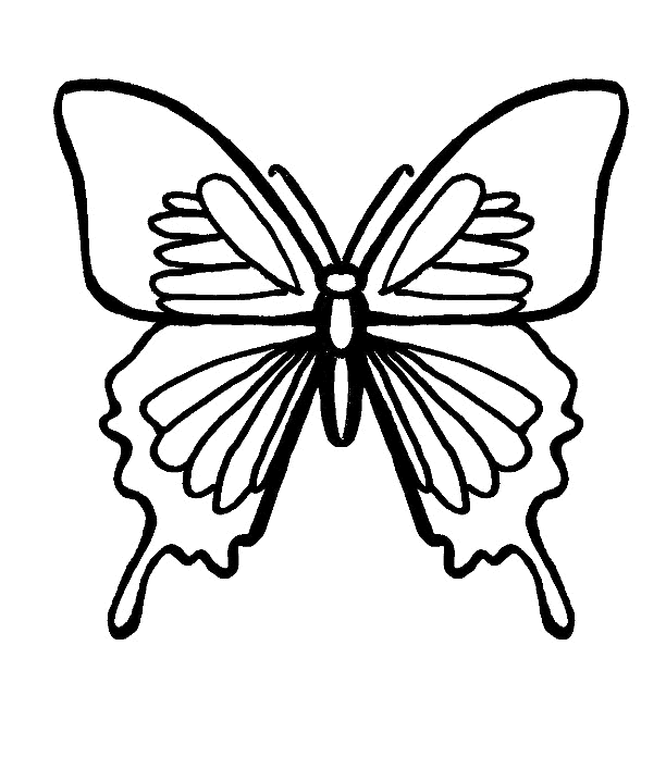 612x719 Monarch Butterfly Coloring Pages Batman Coloring Pages For Kids