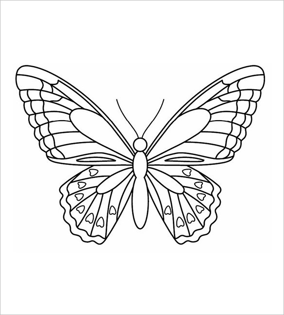 585x650 Butterfly Templates Printable Crafts Amp Colouring Pages