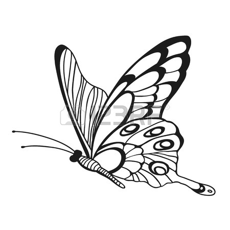 450x450 Beautiful Monochrome Butterfly. Sketch Of Insect For Design