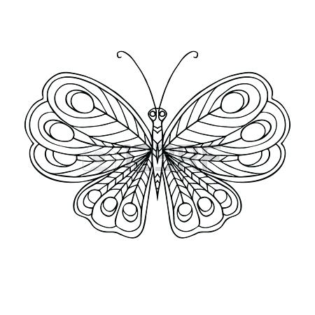 450x450 Butterfly Coloring Book 22 As Well As Free Coloring Papers