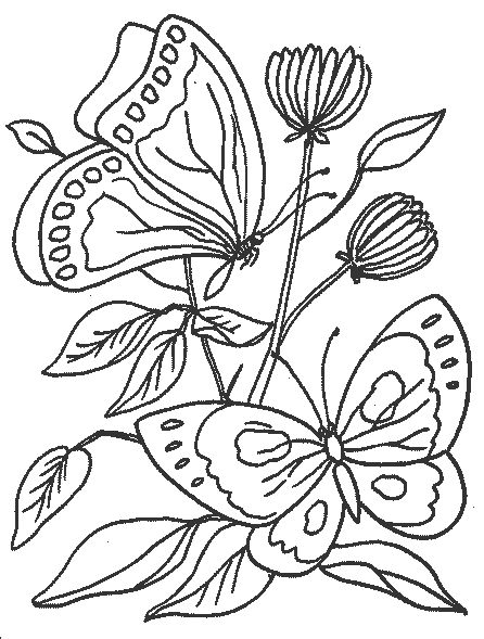 446x589 Drawings For Kids To Color Free Download