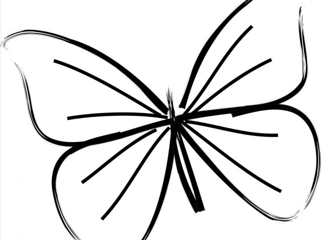 640x480 The Images Collection Of Teaching S Drawing For Kids Butterfly By