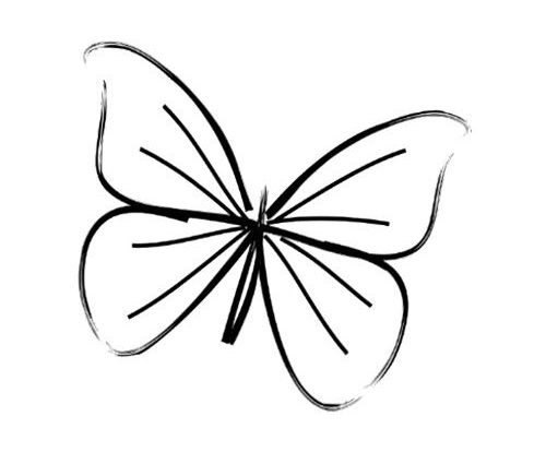 500x425 Easy Draw Butterfly 25 Trending Simple Butterfly Drawing Ideas