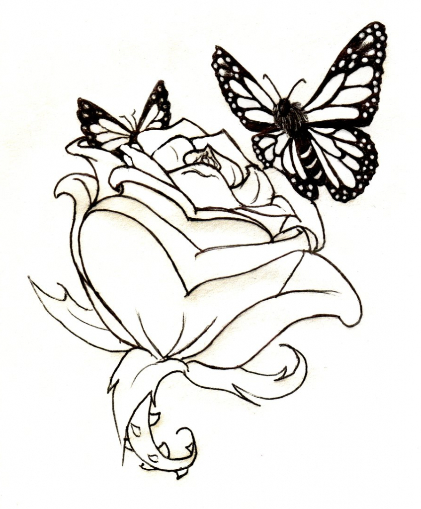847x1024 Butterfly Drawing Tattoo 1000 Images About Tattoo Ideas