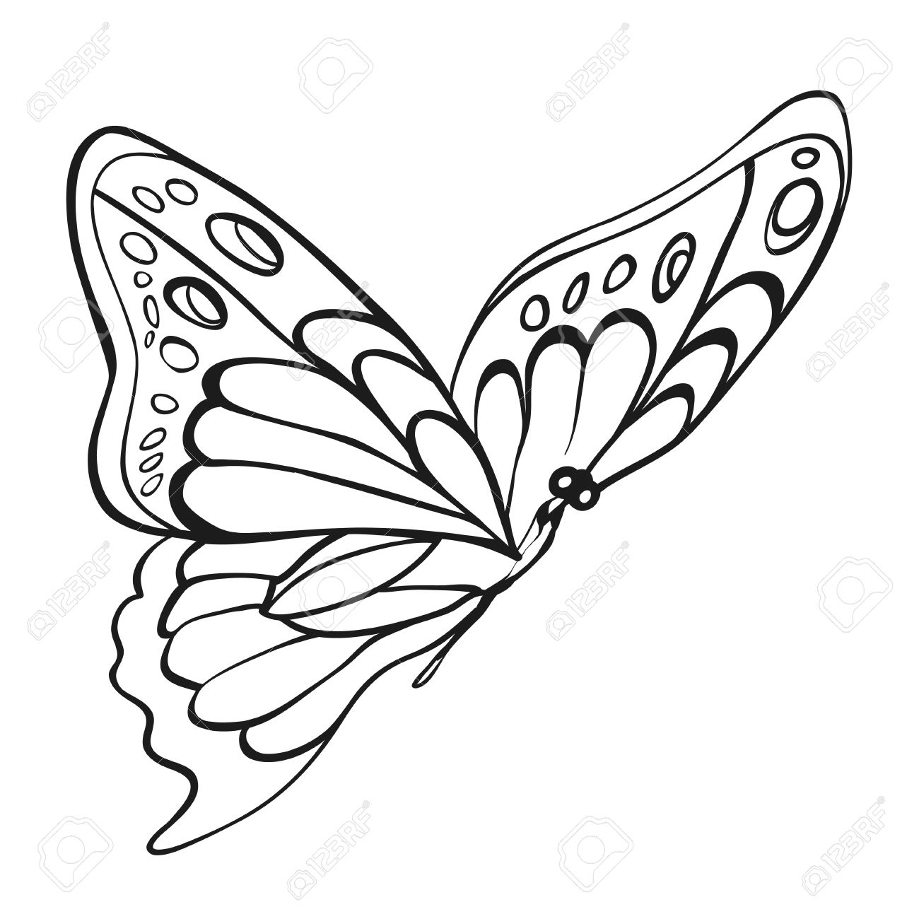 1300x1300 Beautiful Monochrome Butterfly. Sketch Of Insect For Design
