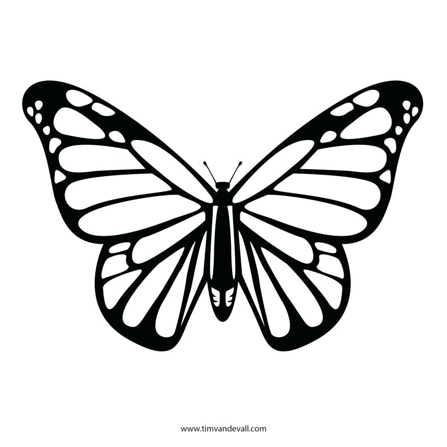 878x878 Free Printable Butterfly Coloring Pages Plus Coloring Monarch