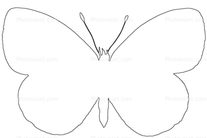 418x279 Best Photos Of Black Butterfly Outline