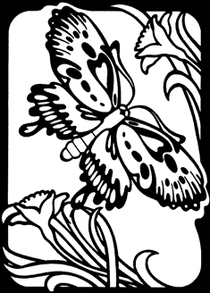 235x328 Butterfly Drawings Let Your Creativity Fly In Easy Steps