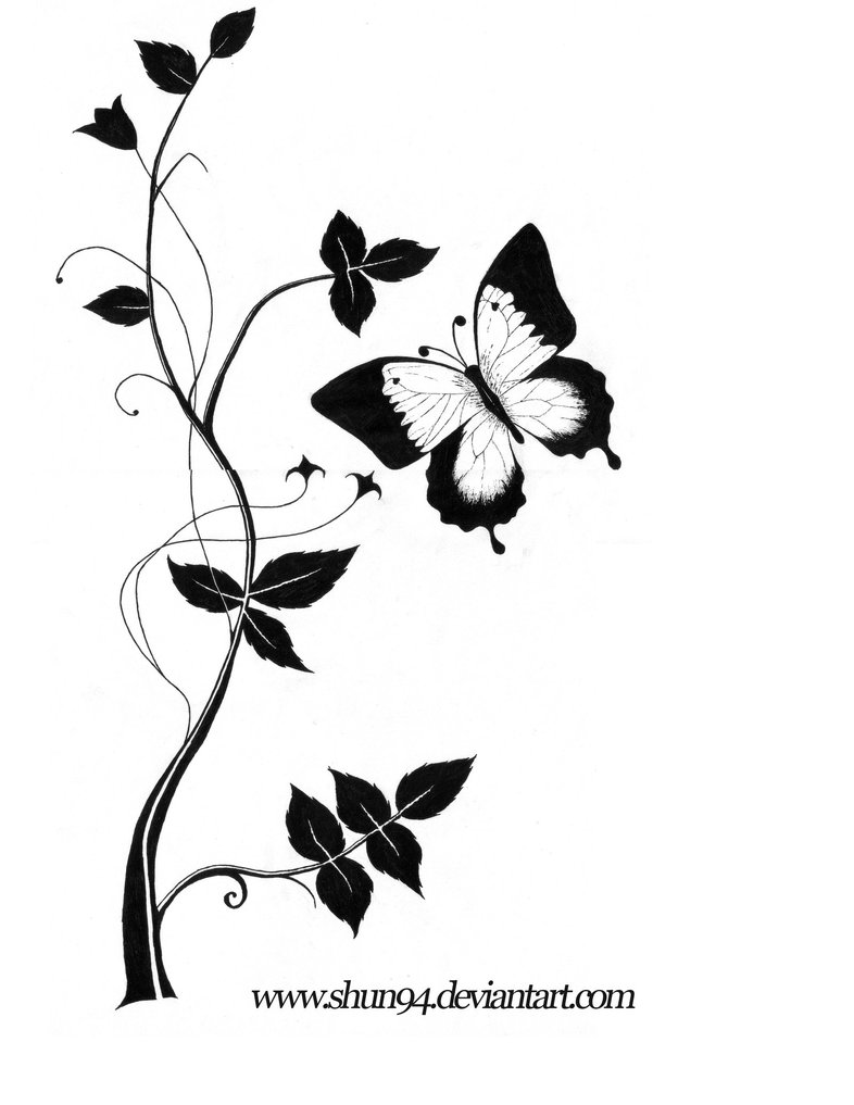 786x1017 Butterfly Line Drawings Wifi Router Definition Photoelectric Smoke