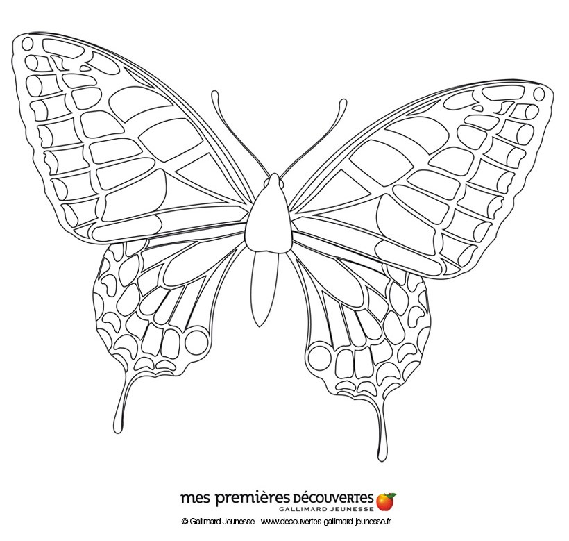 820x779 Butterfly Coloring Pages, Drawing For Kids, Kids Crafts