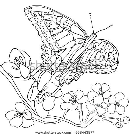 450x470 Drawn Butterfly The Garden Drawing