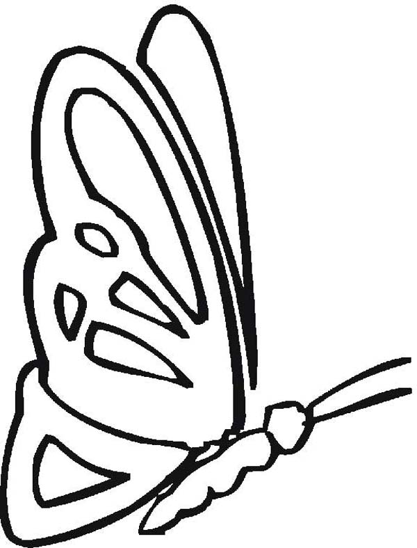 600x788 Simple Butterfly Graphic Drawing Coloring Page