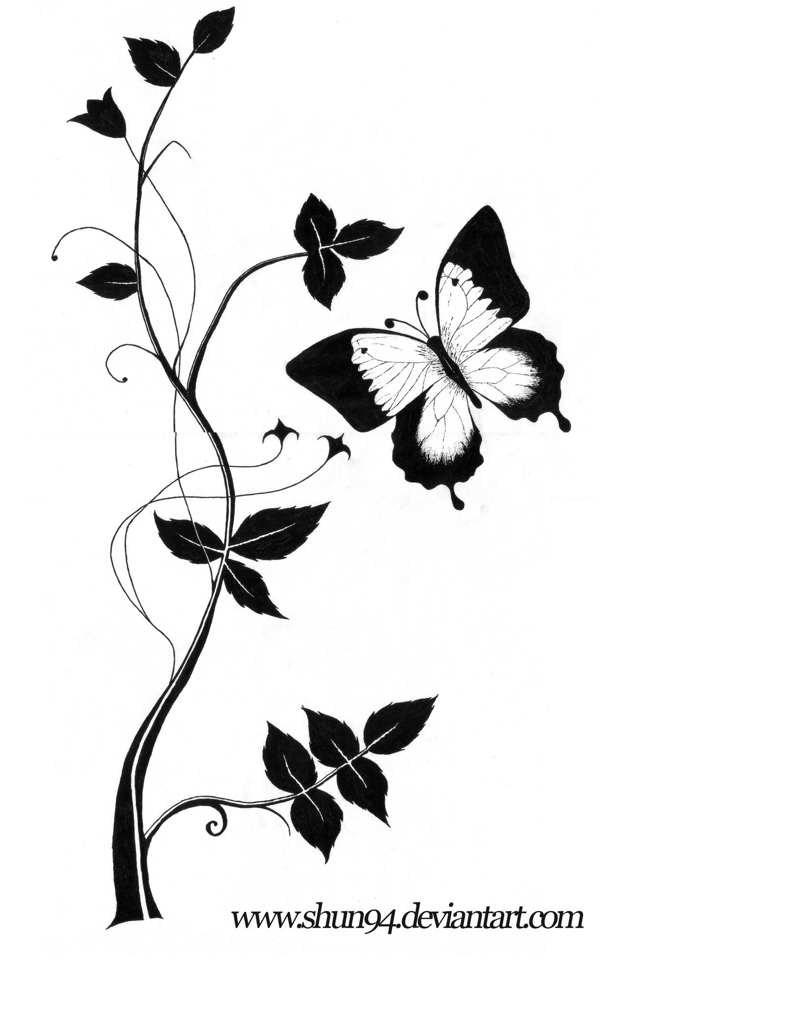 1600x2071 Butterfly By Shun94