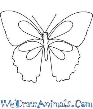 300x350 How To Draw A Papilio