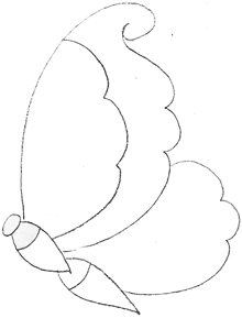 220x289 How To Draw Butterfly Butterfly Drawing Tutorial