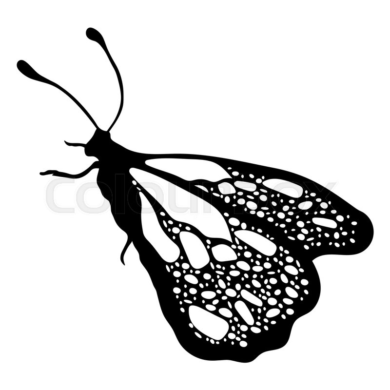 800x800 Butterfly, Monochrome, Coloring Book, Black And White Illustration