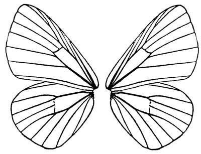 400x307 Printable Butterfly Wings Template Artscrafts
