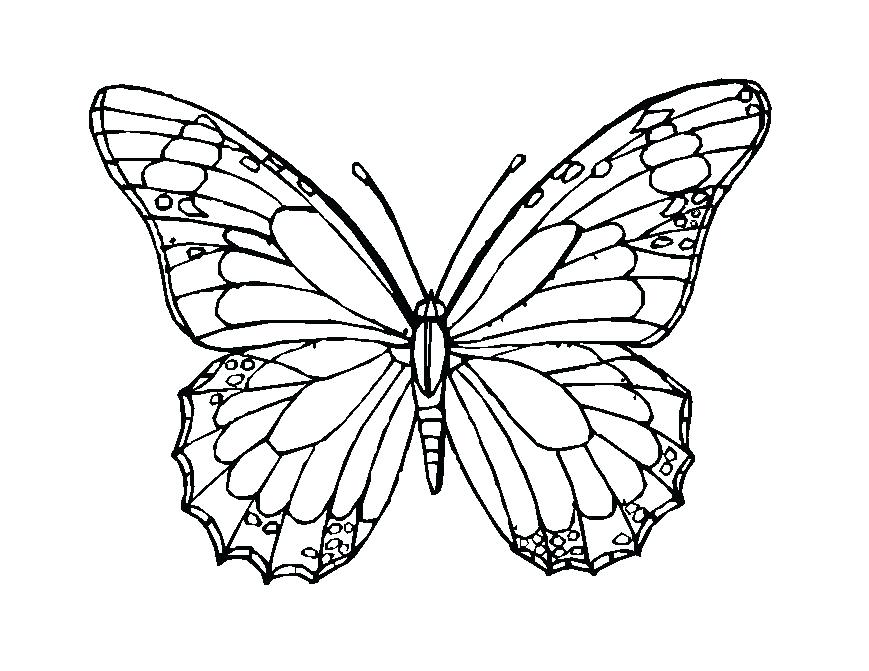 869x671 Coloring Pages Of Butterflies To Print Printable Butterfly