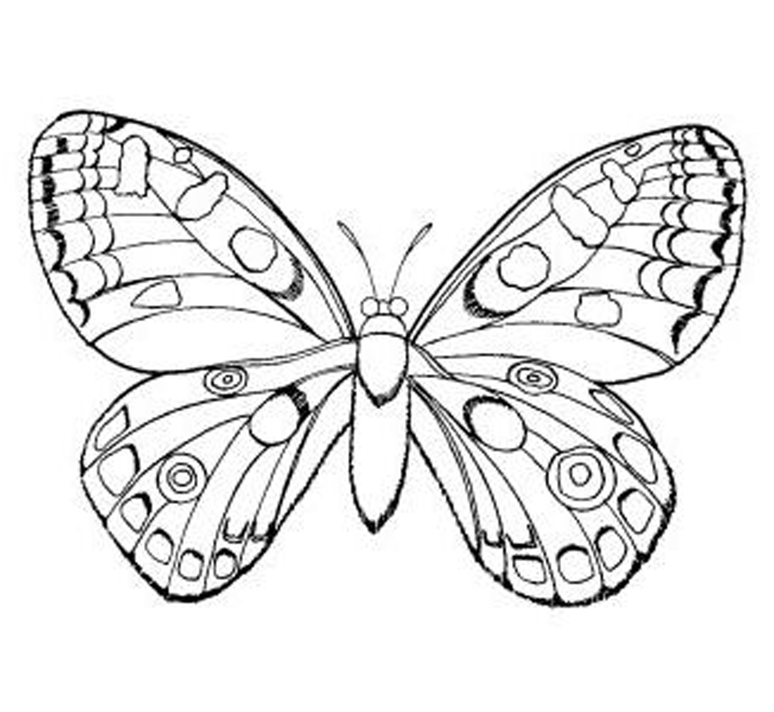2550x2347 Coloring Pages For Girls Butterfly Tiny Draw Print Printable