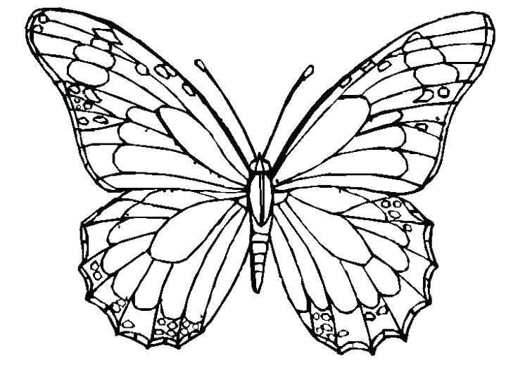 736x536 Cute Butterfly Coloring Pages Epic Butterfly Color Pages About