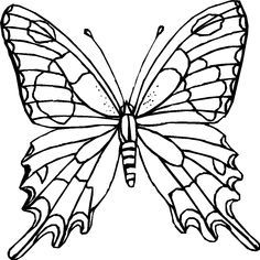236x236 Free Butterfly Coloring Pages Kid Crafts