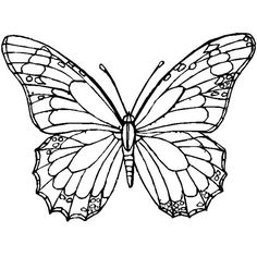 236x236 Printable Monarch Butterfly Coloring Page