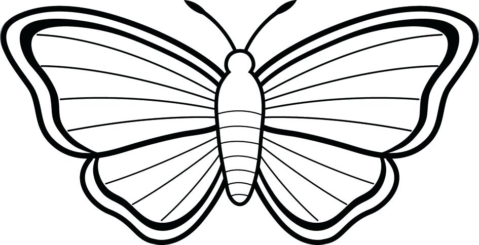 945x484 Free Butterfly Coloring Pages