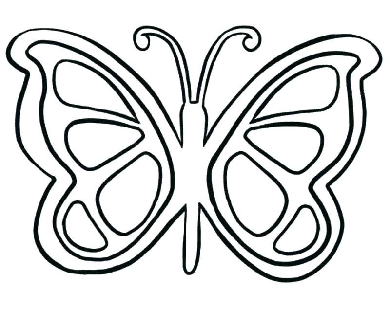 800x635 Butterflies Coloring Page Coloring Page Of Butterfly Butterfly