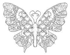 240x187 Butterfly Coloring Pages Download Free Butterflies To Color