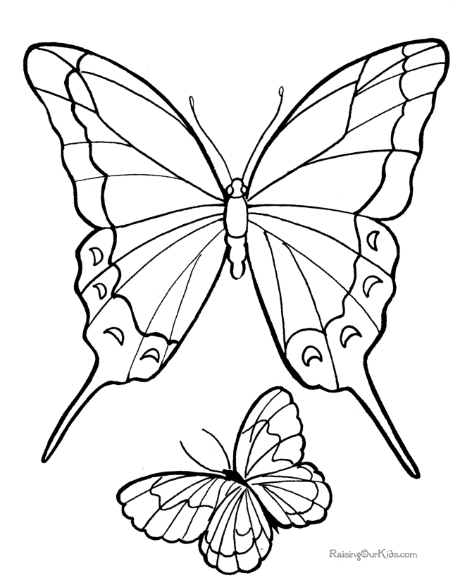 670x820 Butterfly Picture To Print And Color