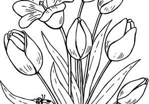 300x210 Butterfly Flower Drawing How To Draw Butterfly Realistically On