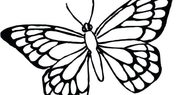 728x393 Butterfly Coloring Pages For Toddlers Coloring Page For Toddlers