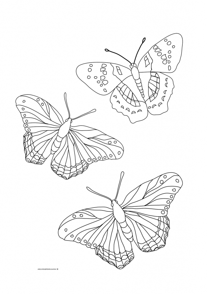723x1024 Butterfly Flying Drawing Butterfly Coloring