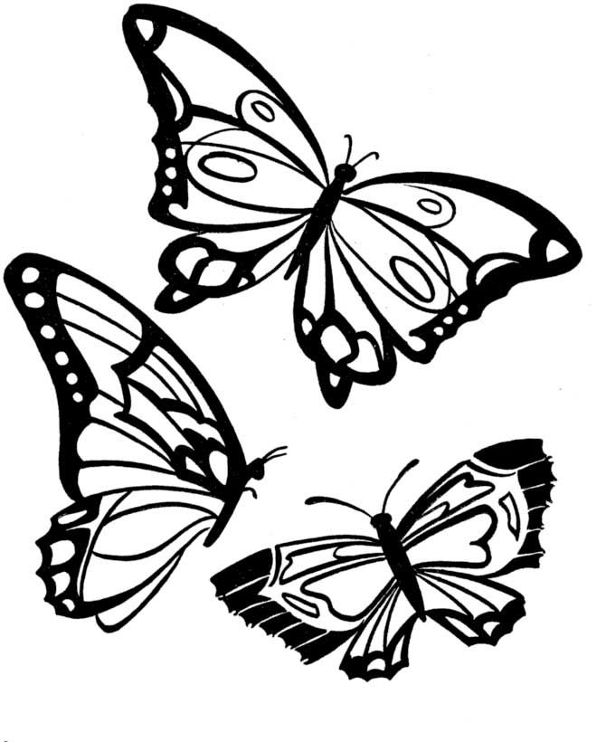 670x820 66 Best Butterflies Images On Printable Butterfly